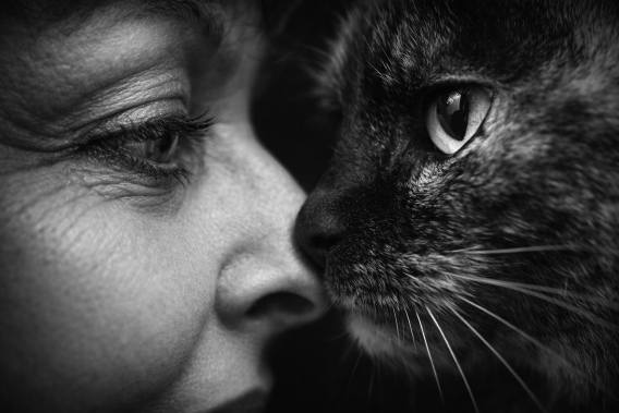 Intimer Mensch Katze Moment Fine Art